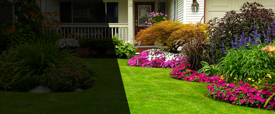 Falling Waters Landscapers